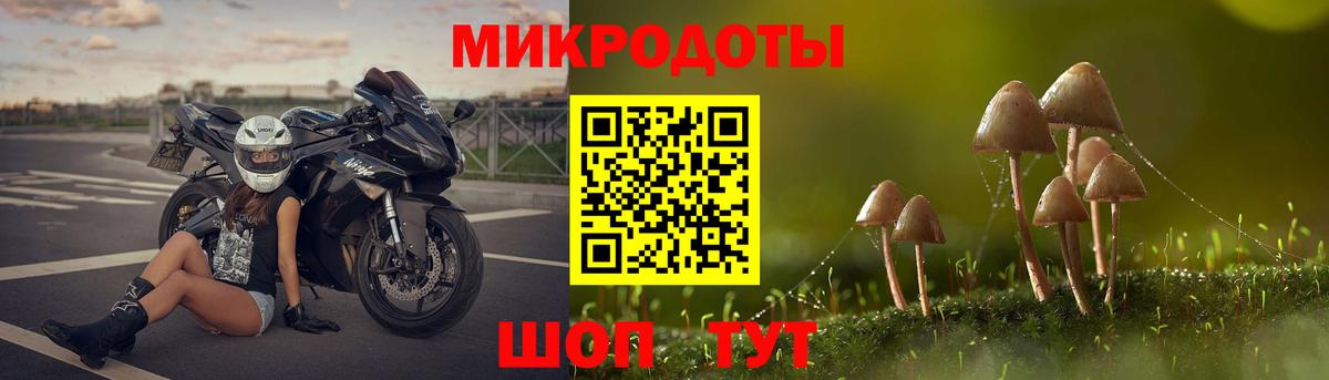 Псилоцибиновые грибы мицелий  купить наркотик  Вход с VPN  Королёв  Галлюциногенные грибы ЛСД 